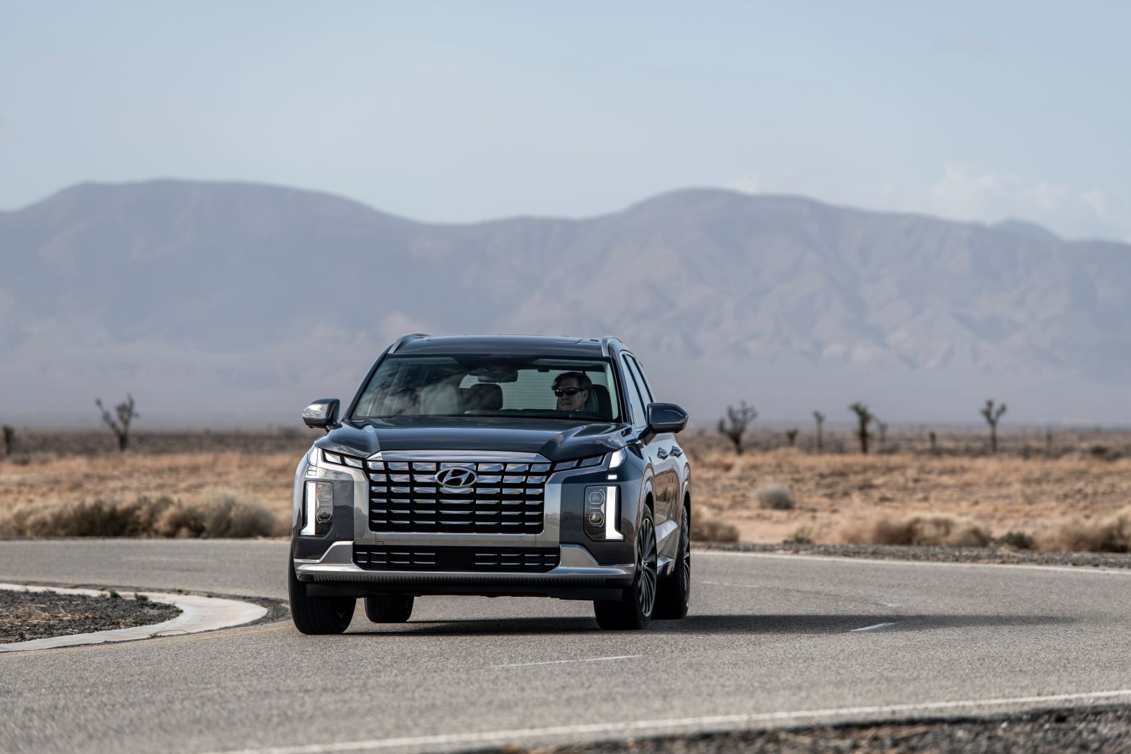 Hyundai Palisade photo 33