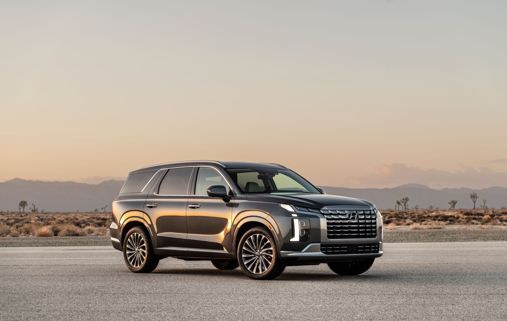 Hyundai Palisade photo 34