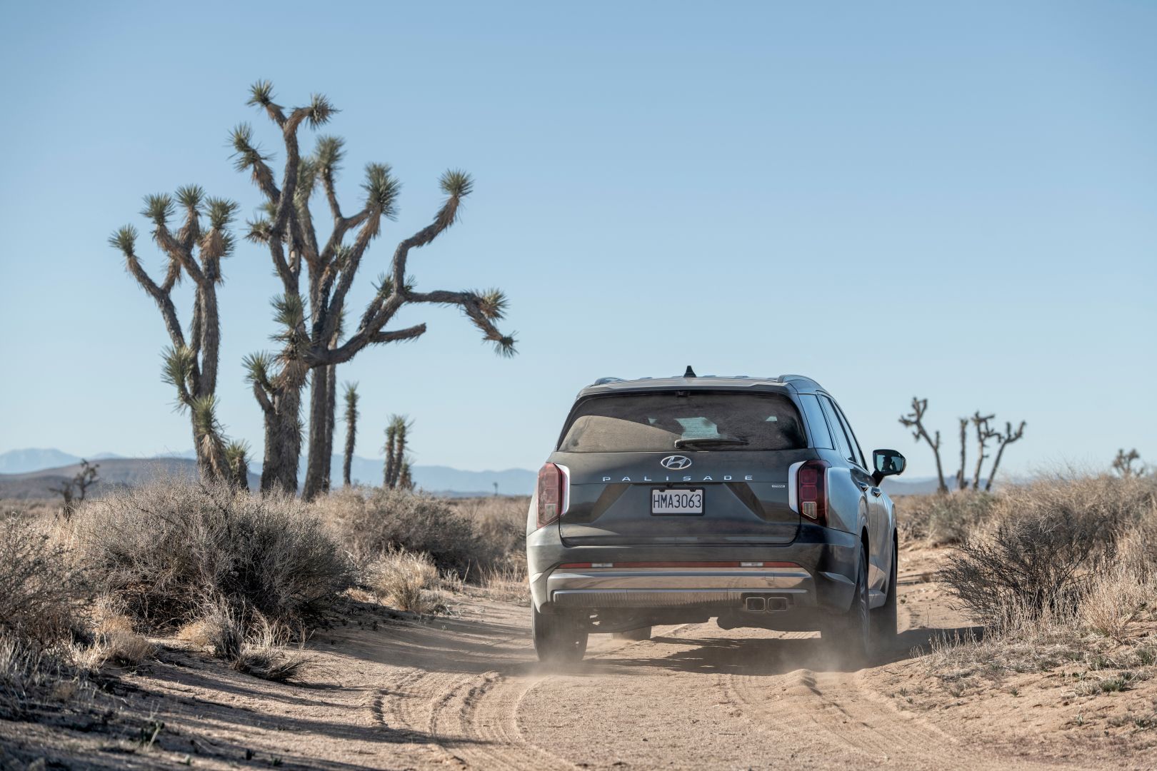 Hyundai Palisade photo 38