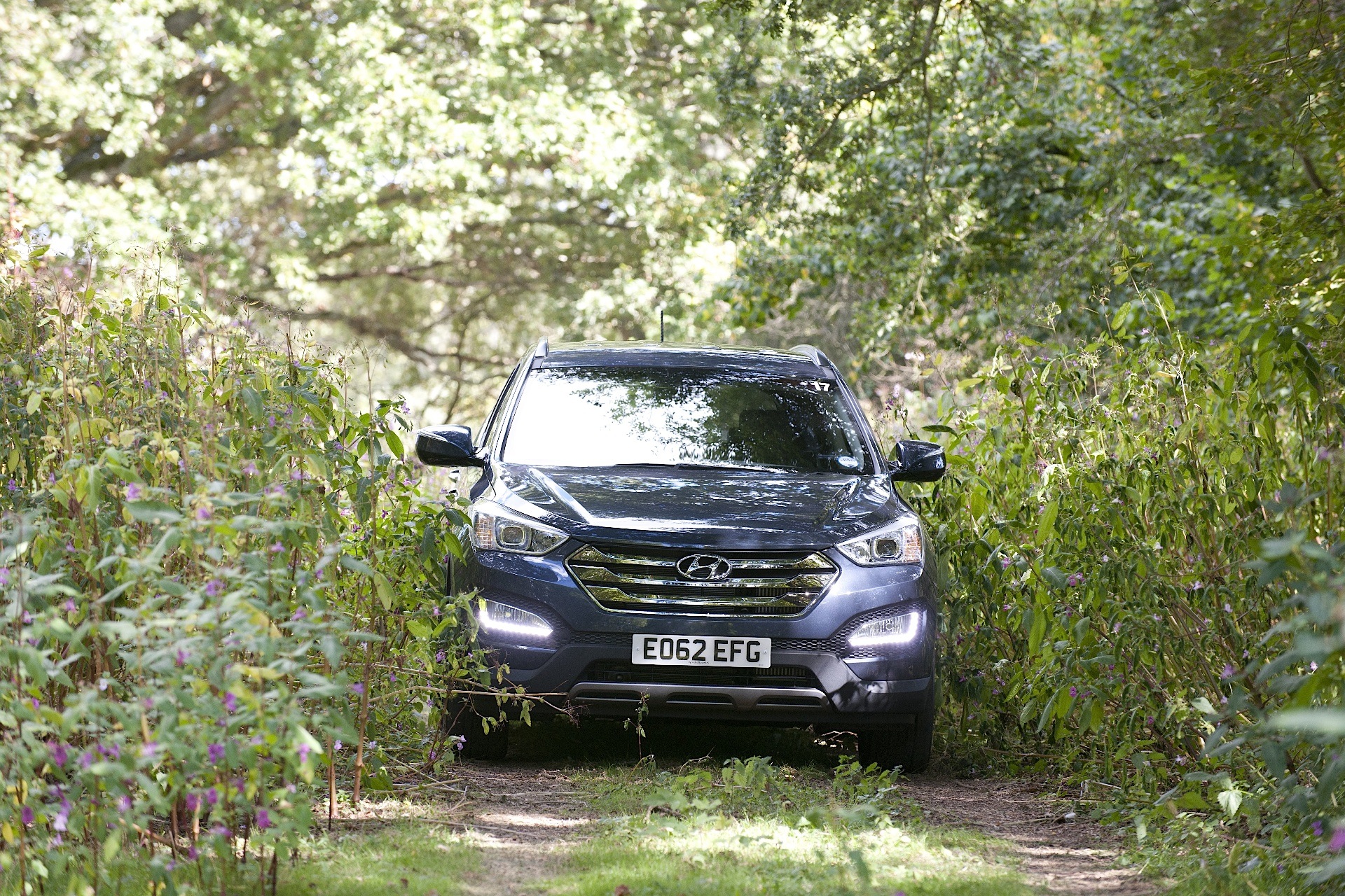 Hyundai Santa Fe photo 31