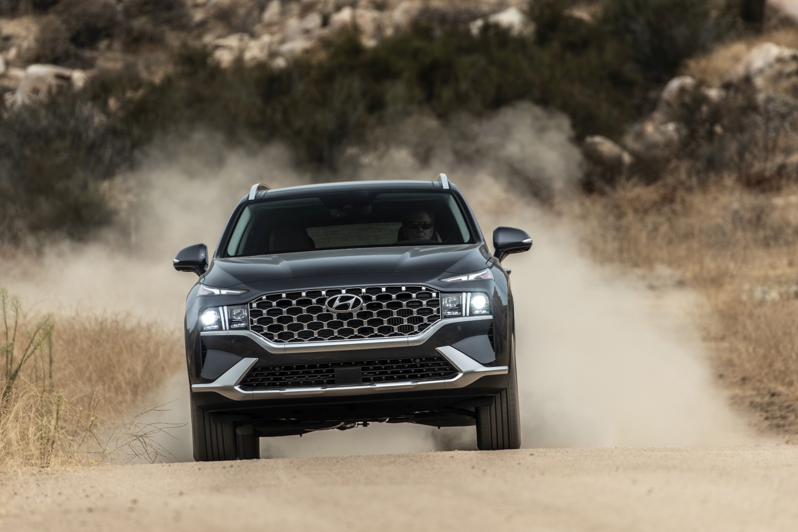 Hyundai Santa Fe photo 25