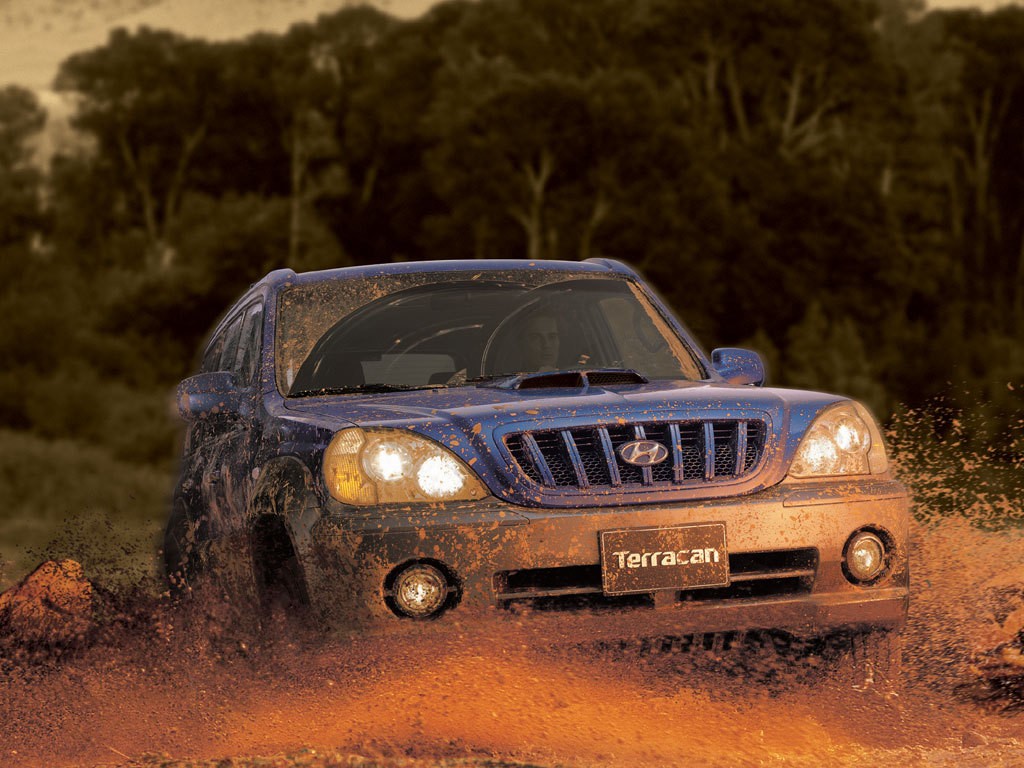 Hyundai Terracan photo 8