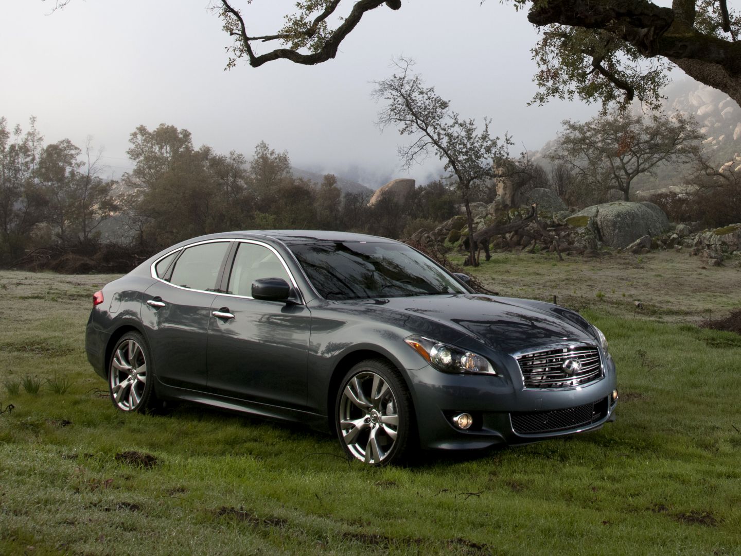 Infiniti M Sedan photo 49