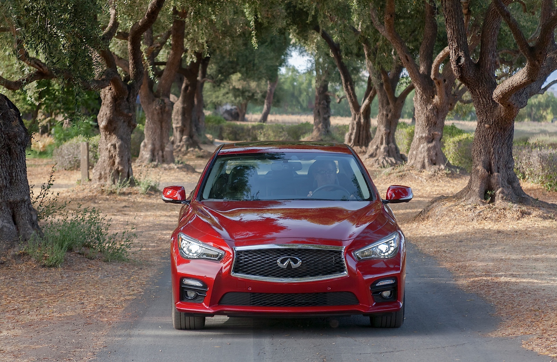 Infiniti Q50 photo 28