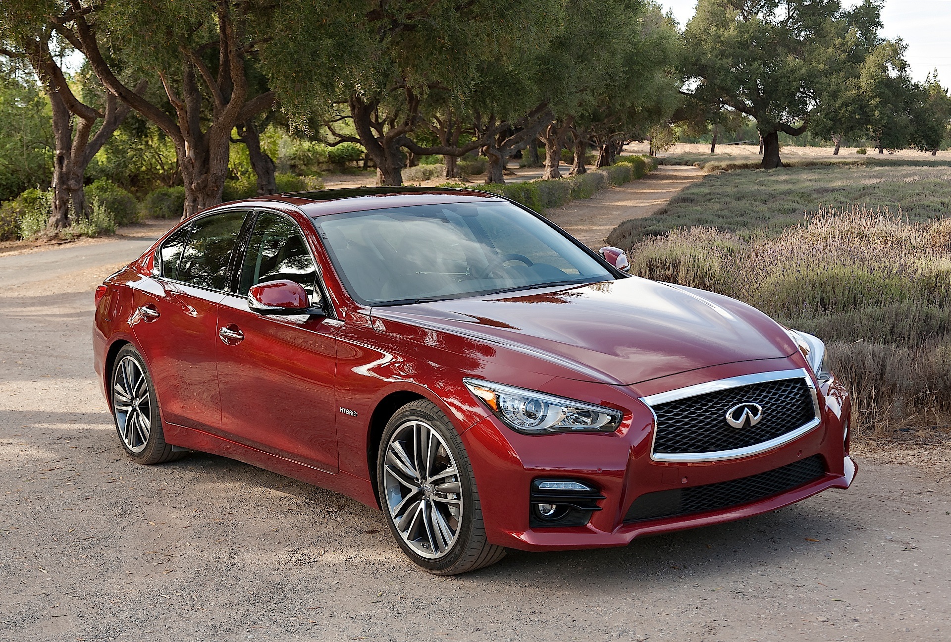 Infiniti Q50 photo 30