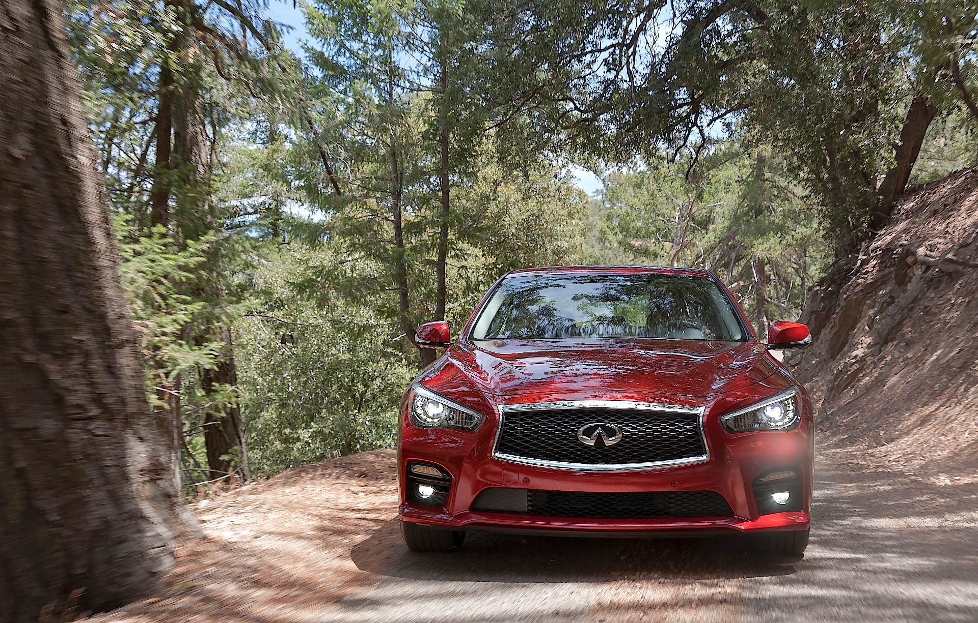 Infiniti Q50 photo 37