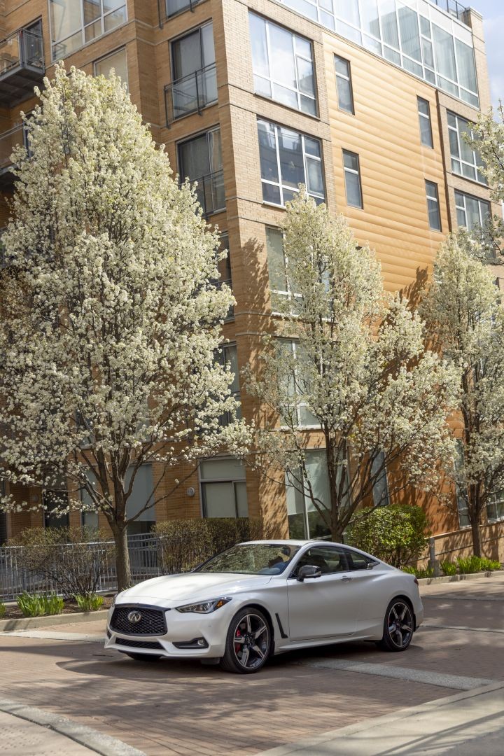 Infiniti Q60 photo 83