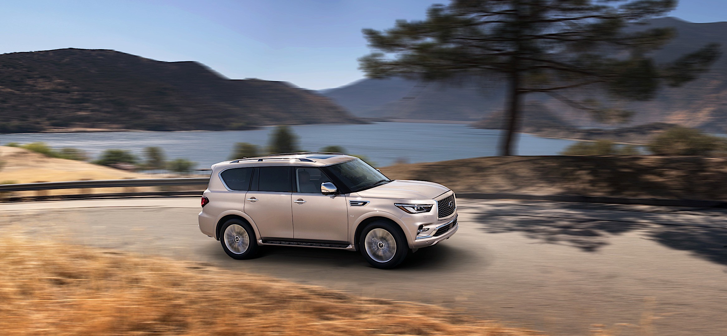 Infiniti Qx80 photo 18