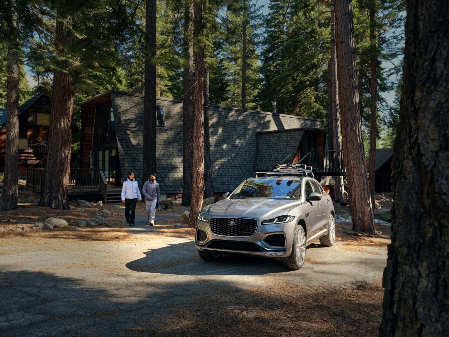 Jaguar F-Pace photo 62