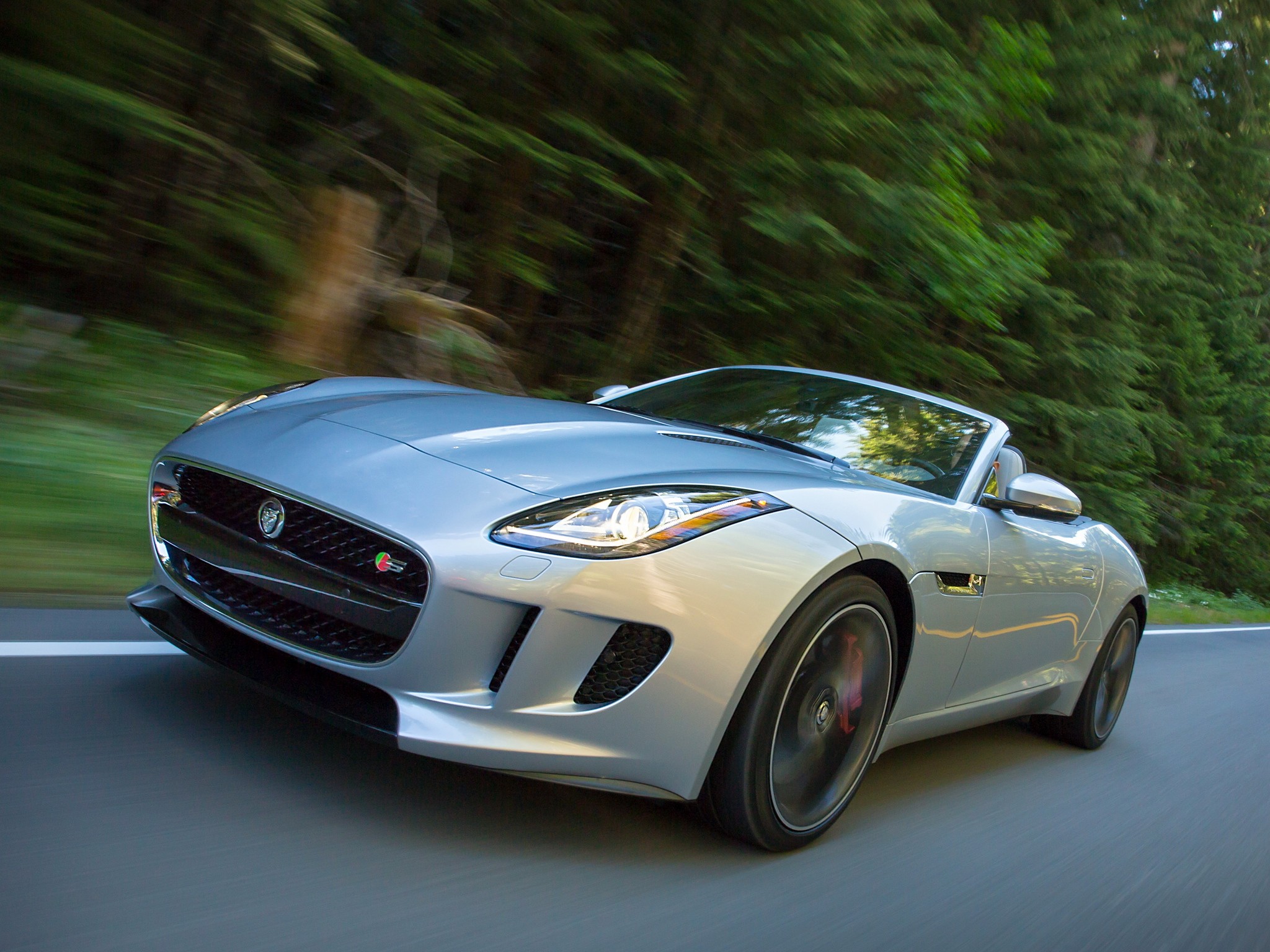 Jaguar F-Type Convertible photo 77