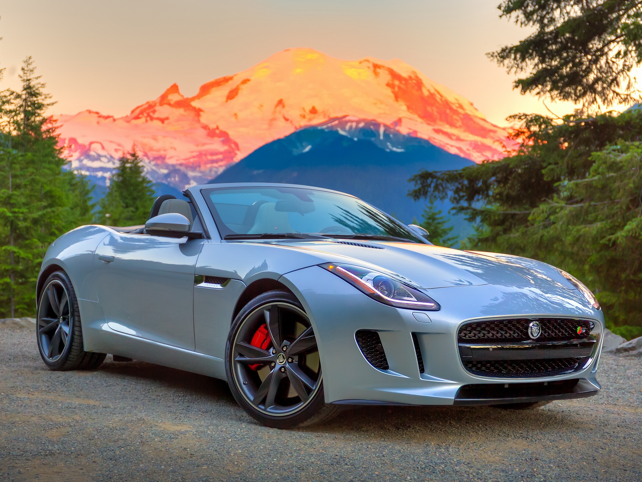 Jaguar F-Type Convertible photo 82