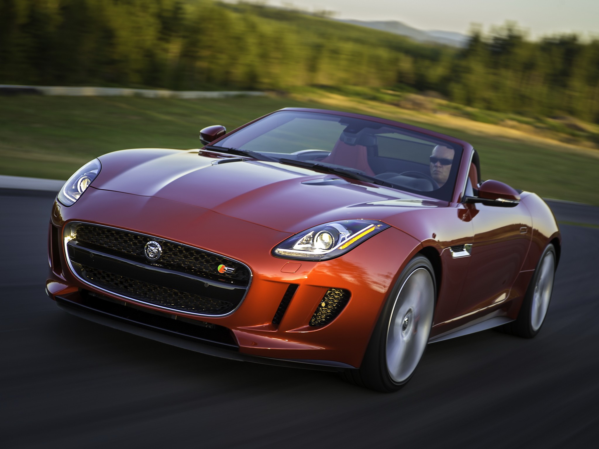 Jaguar F-Type Convertible photo 106