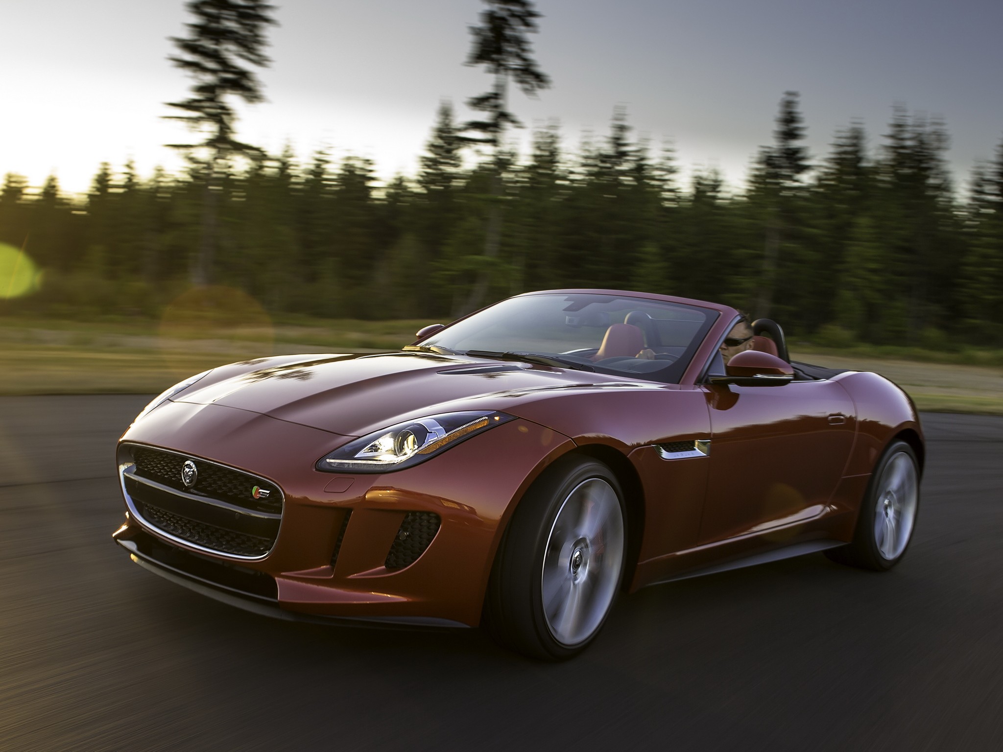 Jaguar F-Type Convertible photo 107