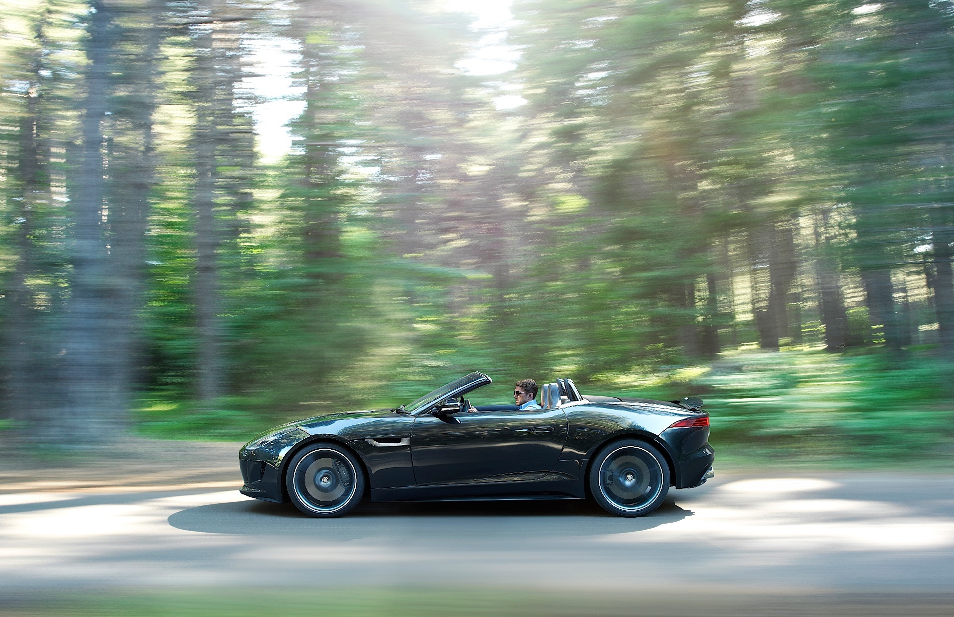 Jaguar F-Type Convertible photo 38