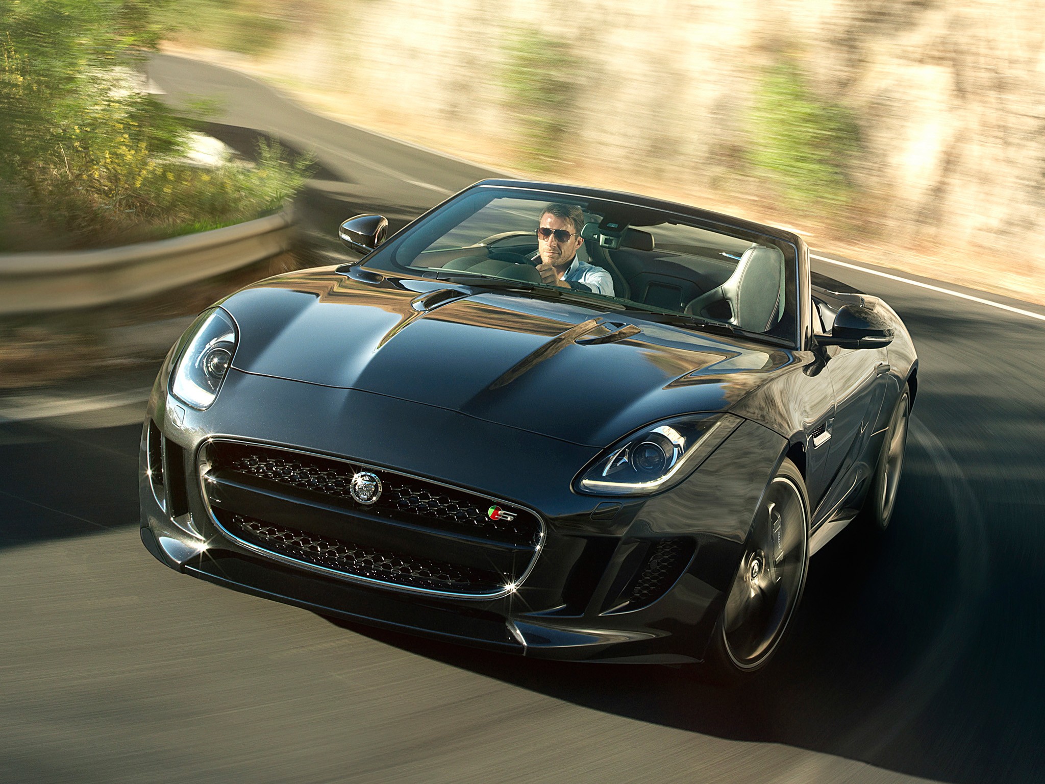 Jaguar F-Type Convertible photo 51