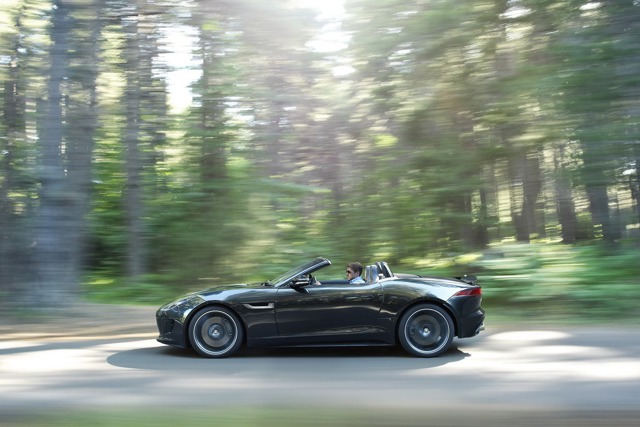 Jaguar F-Type Convertible photo 9