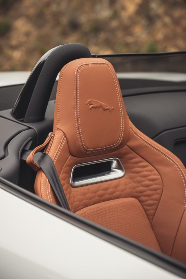 Jaguar F-Type Convertible Foto 92