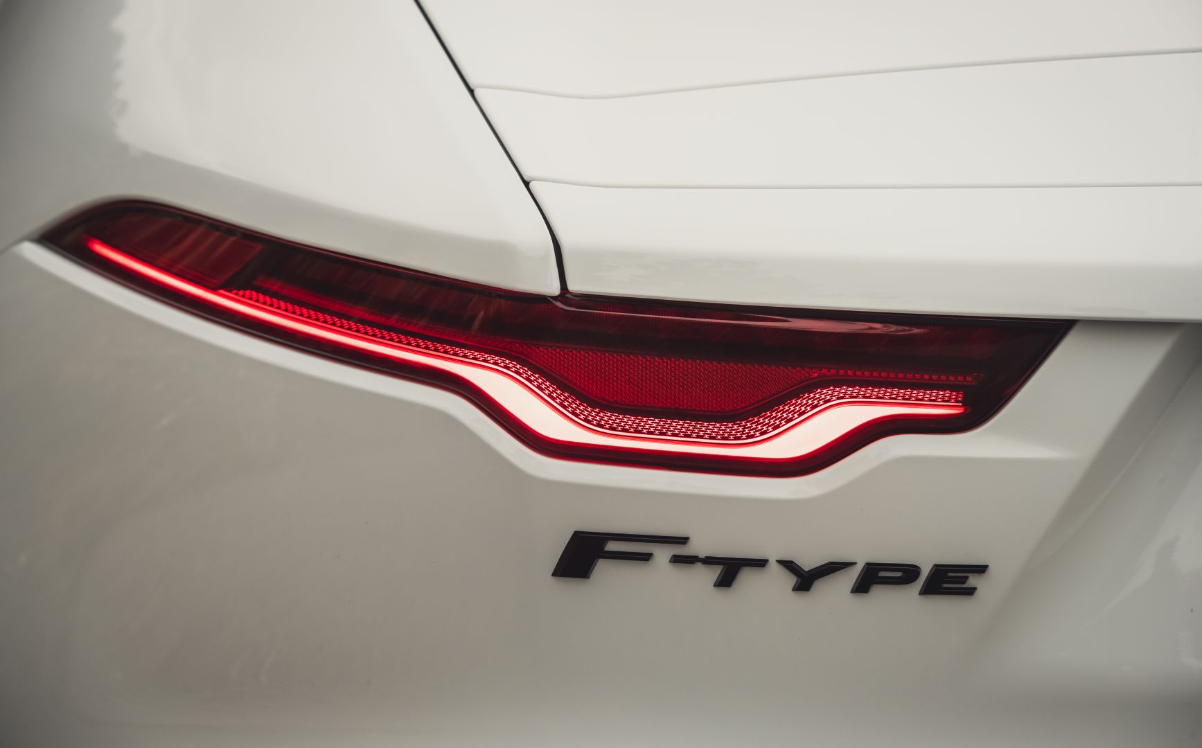 Jaguar F-Type Convertible photo 82