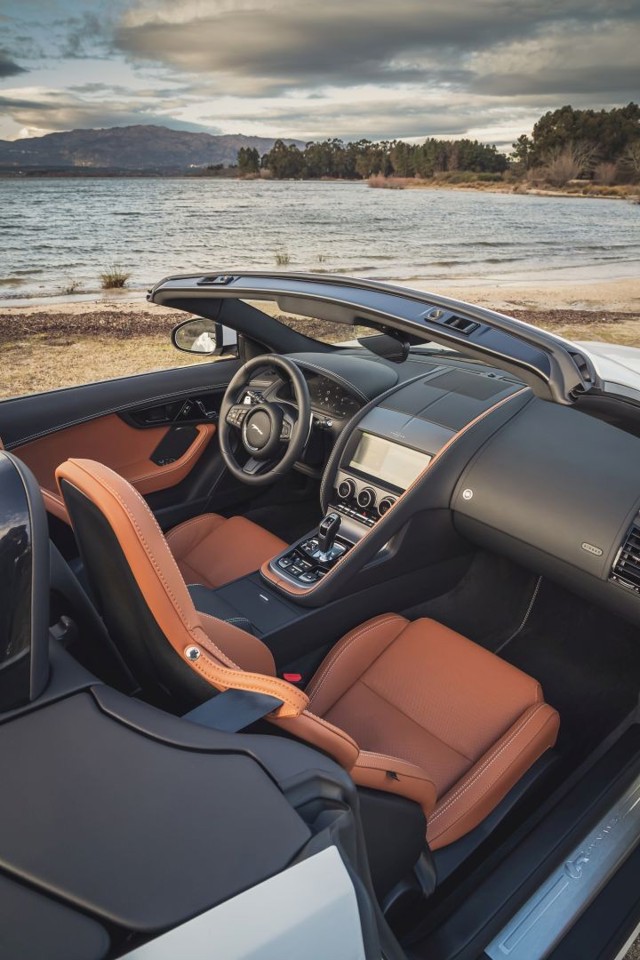Jaguar F-Type Convertible Foto 95