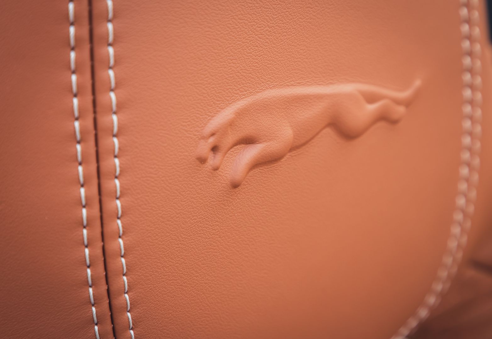 Jaguar F-Type Convertible photo 106