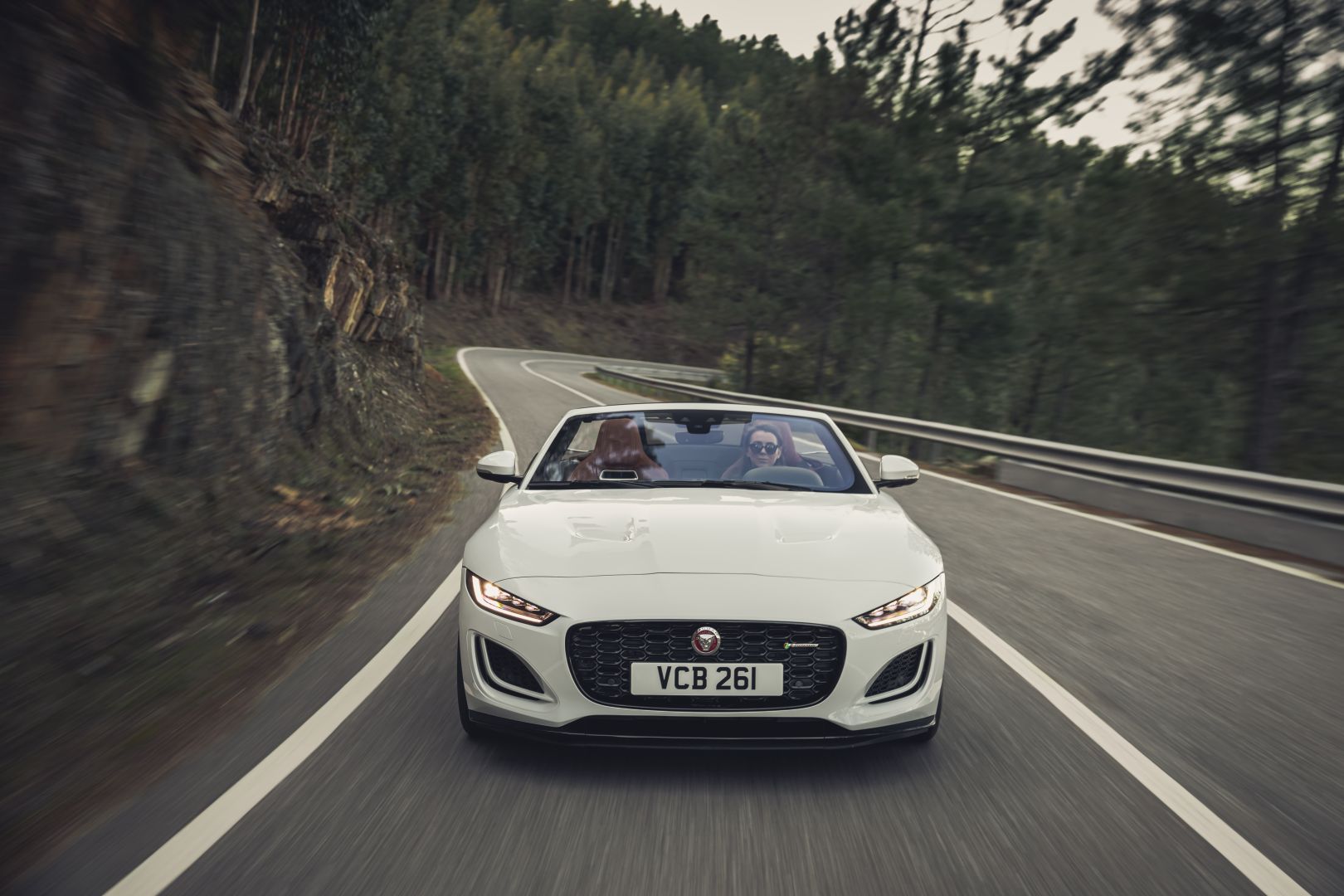 Jaguar F-Type Convertible photo 30