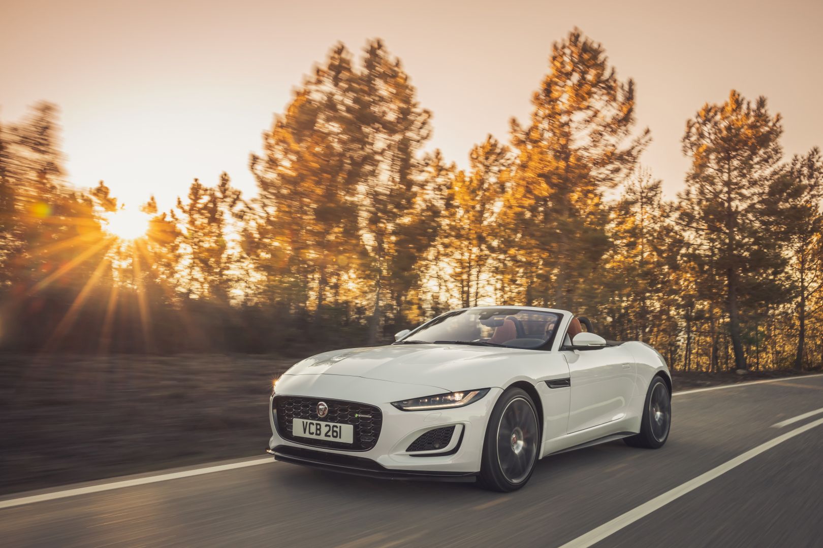 Jaguar F-Type Convertible photo 33