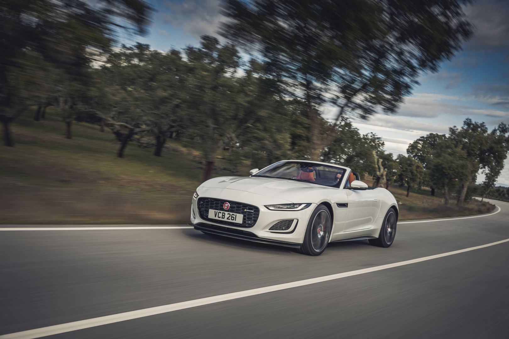 Jaguar F-Type Convertible photo 38