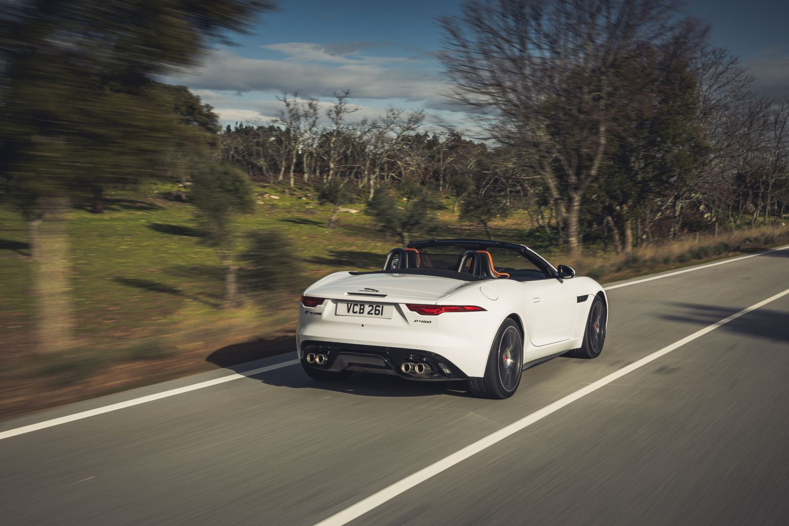 Jaguar F-Type Convertible photo 42