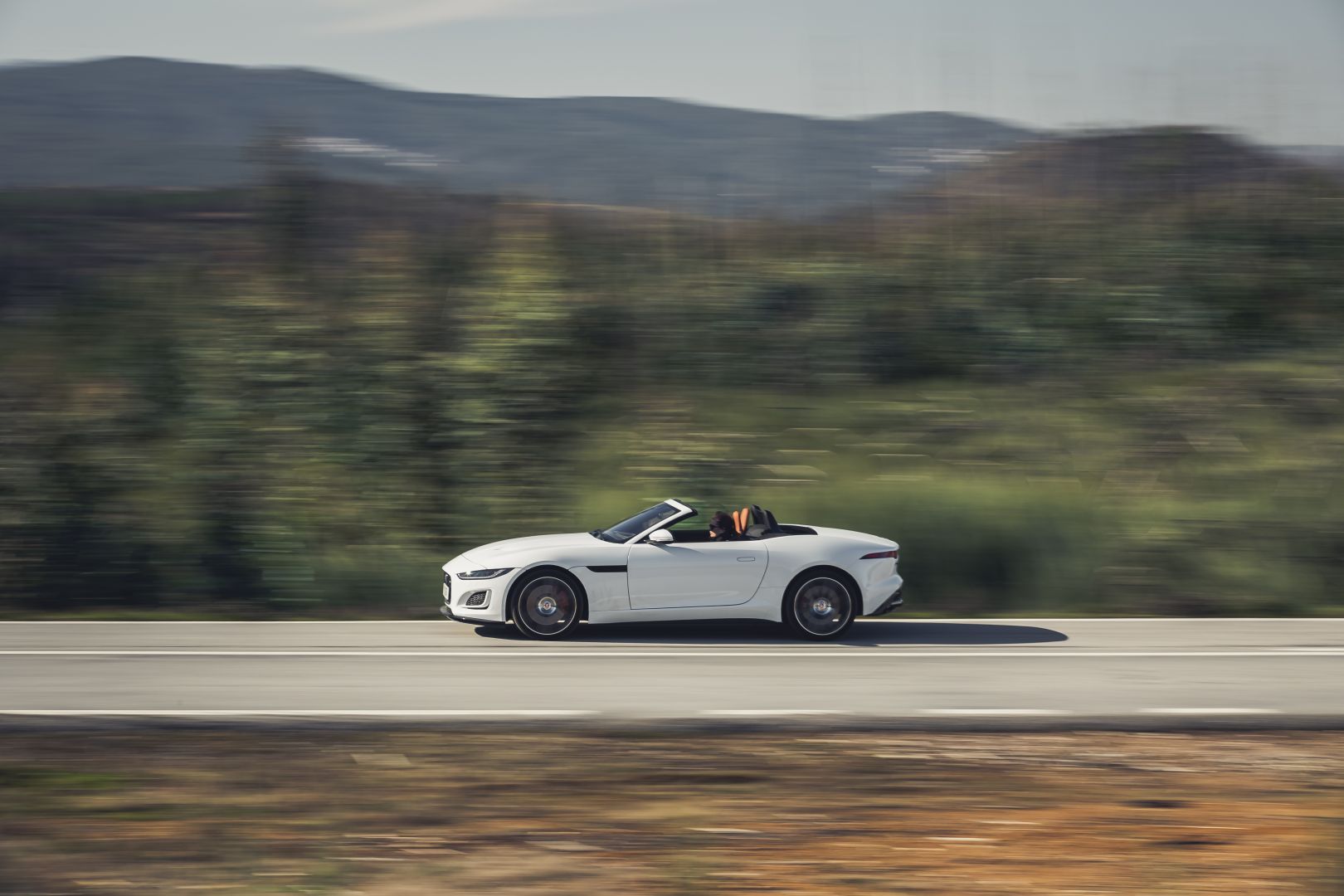Jaguar F-Type Convertible photo 66