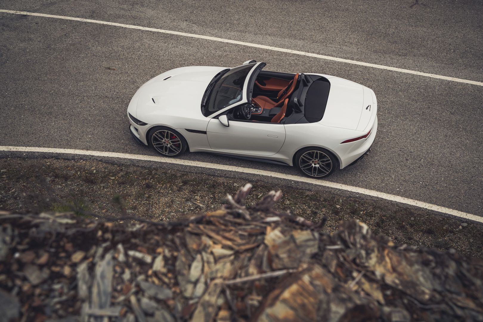 Jaguar F-Type Convertible photo 71