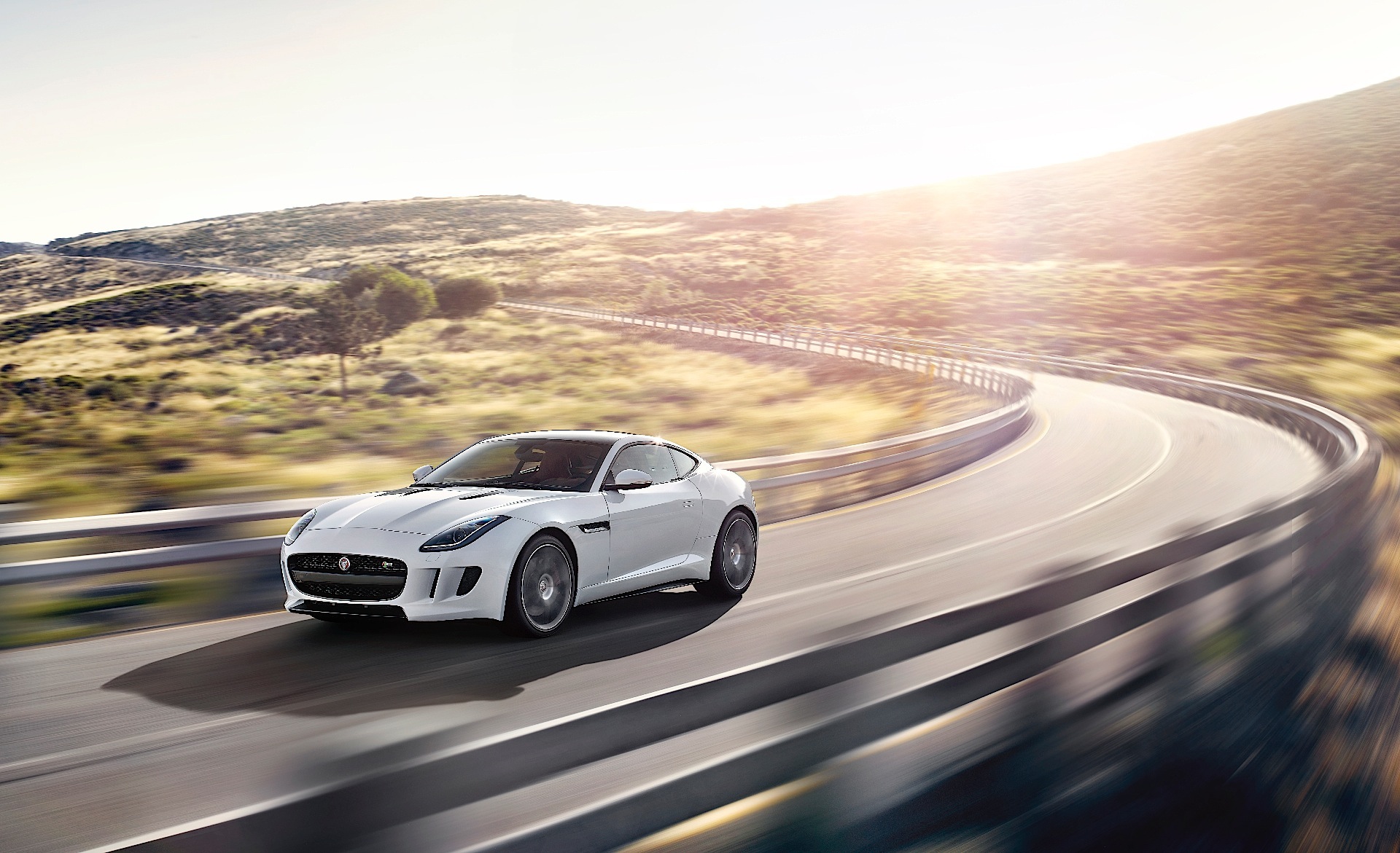 Jaguar F-Type Coupe photo 19