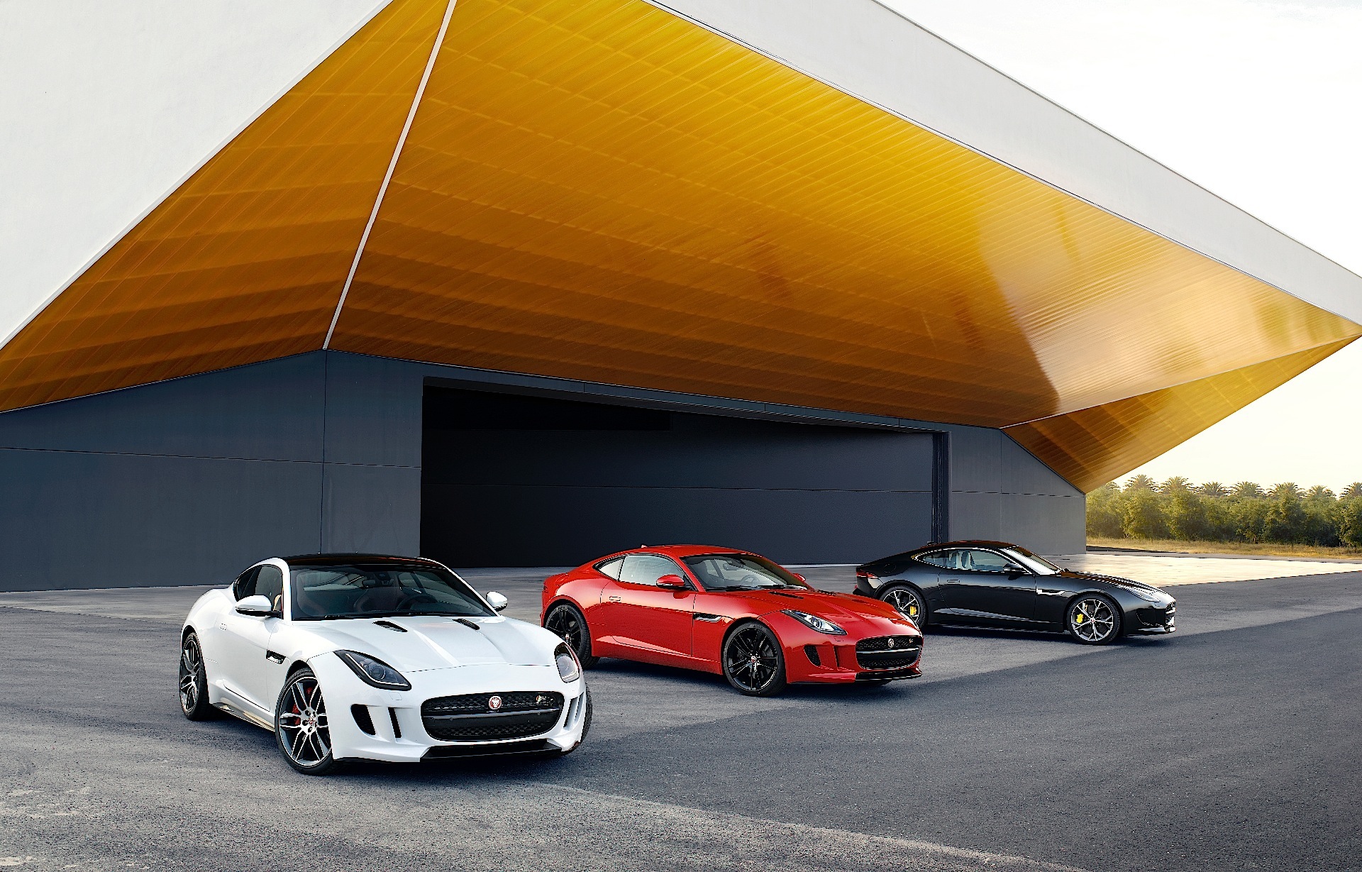 Jaguar F-Type Coupe photo 58