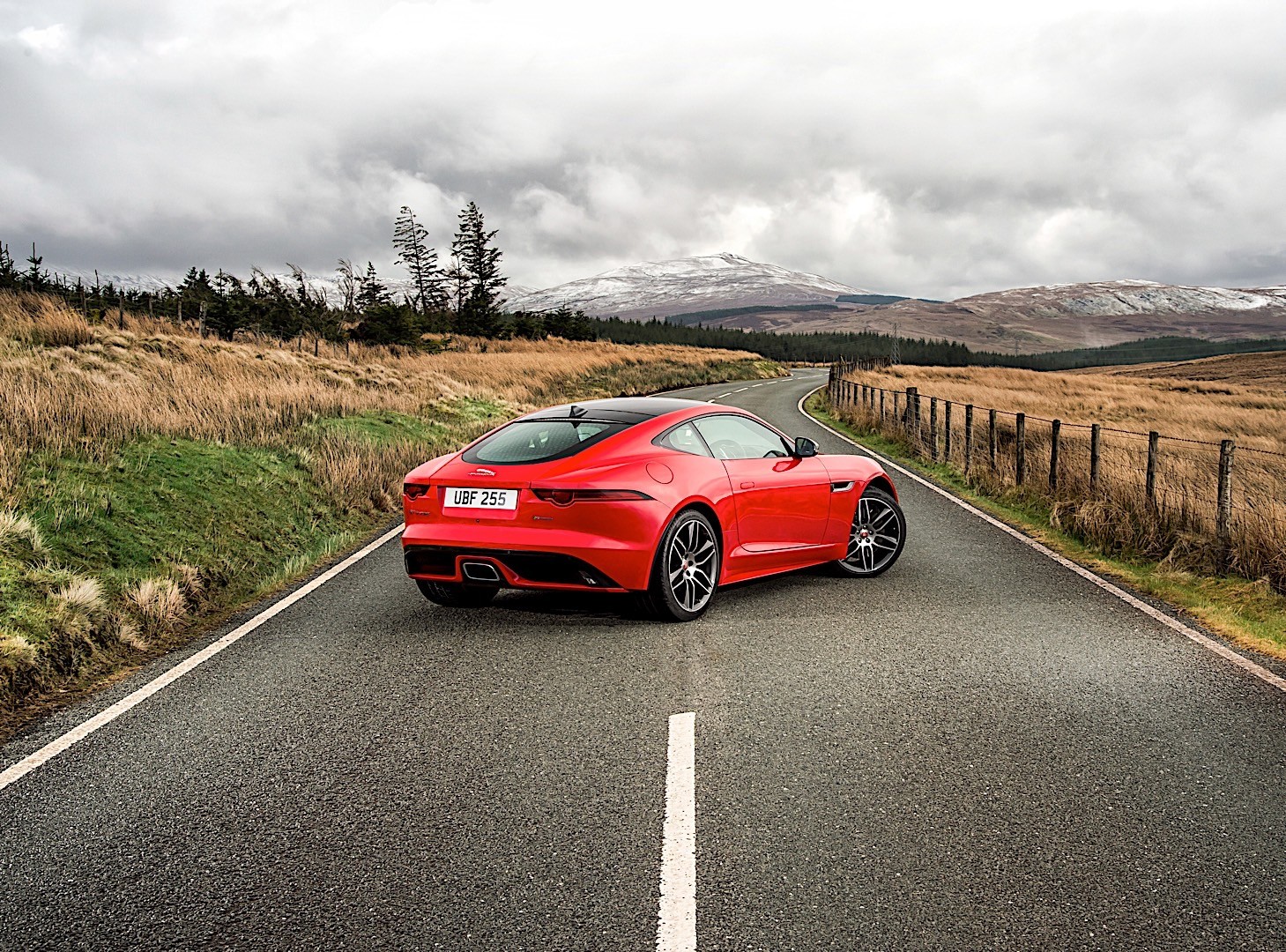 Jaguar F-Type Coupe photo 10