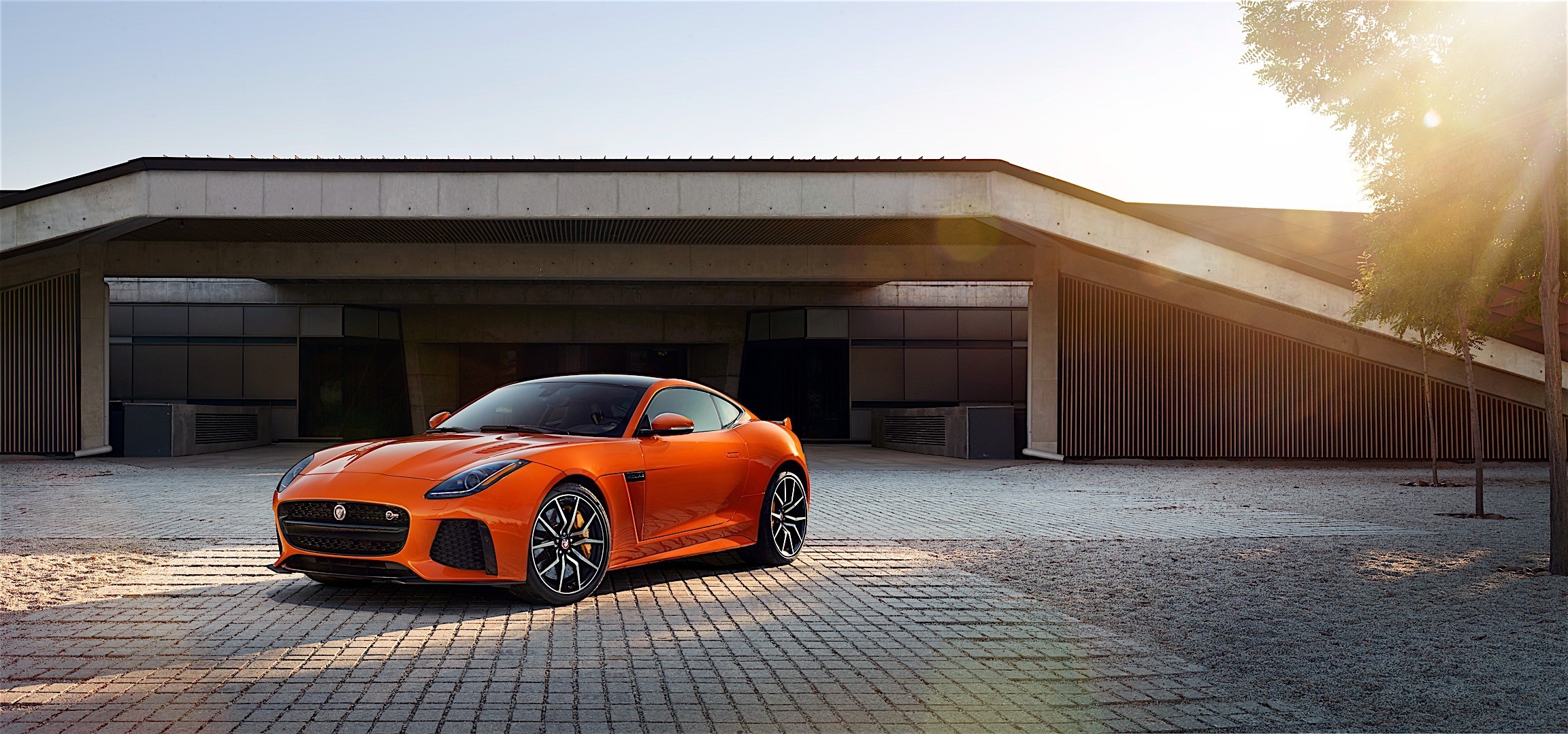 Jaguar F-Type Svr Coupe photo 16