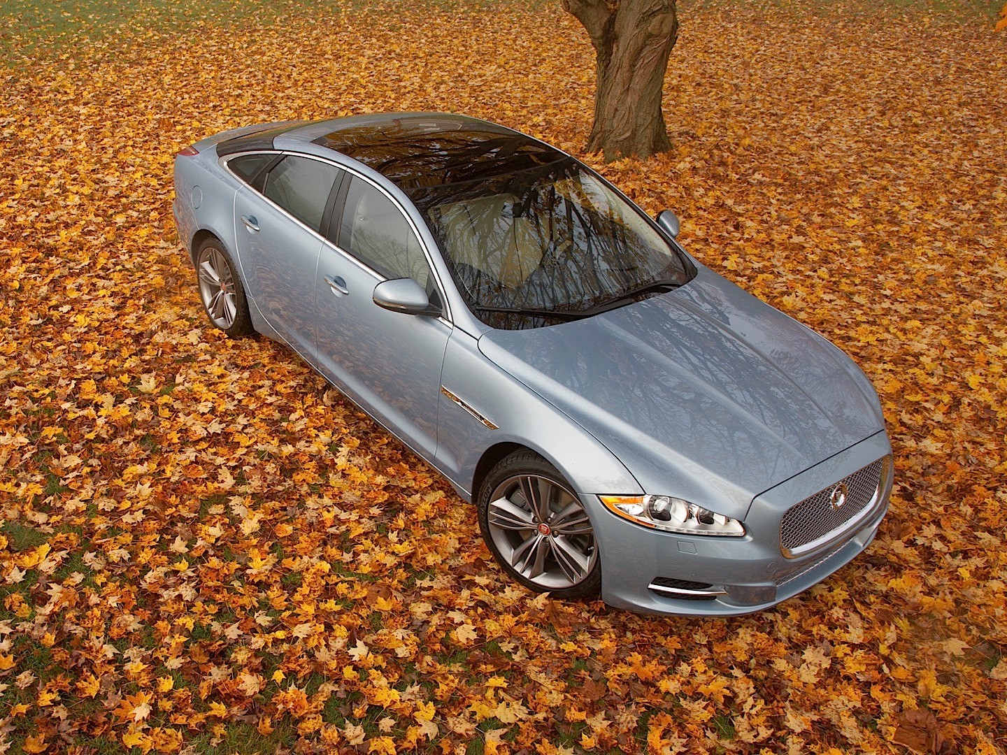 Jaguar Xj photo 42
