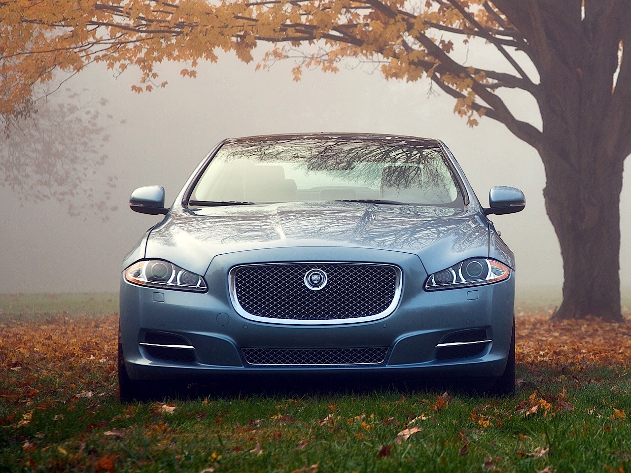 Jaguar Xj photo 44