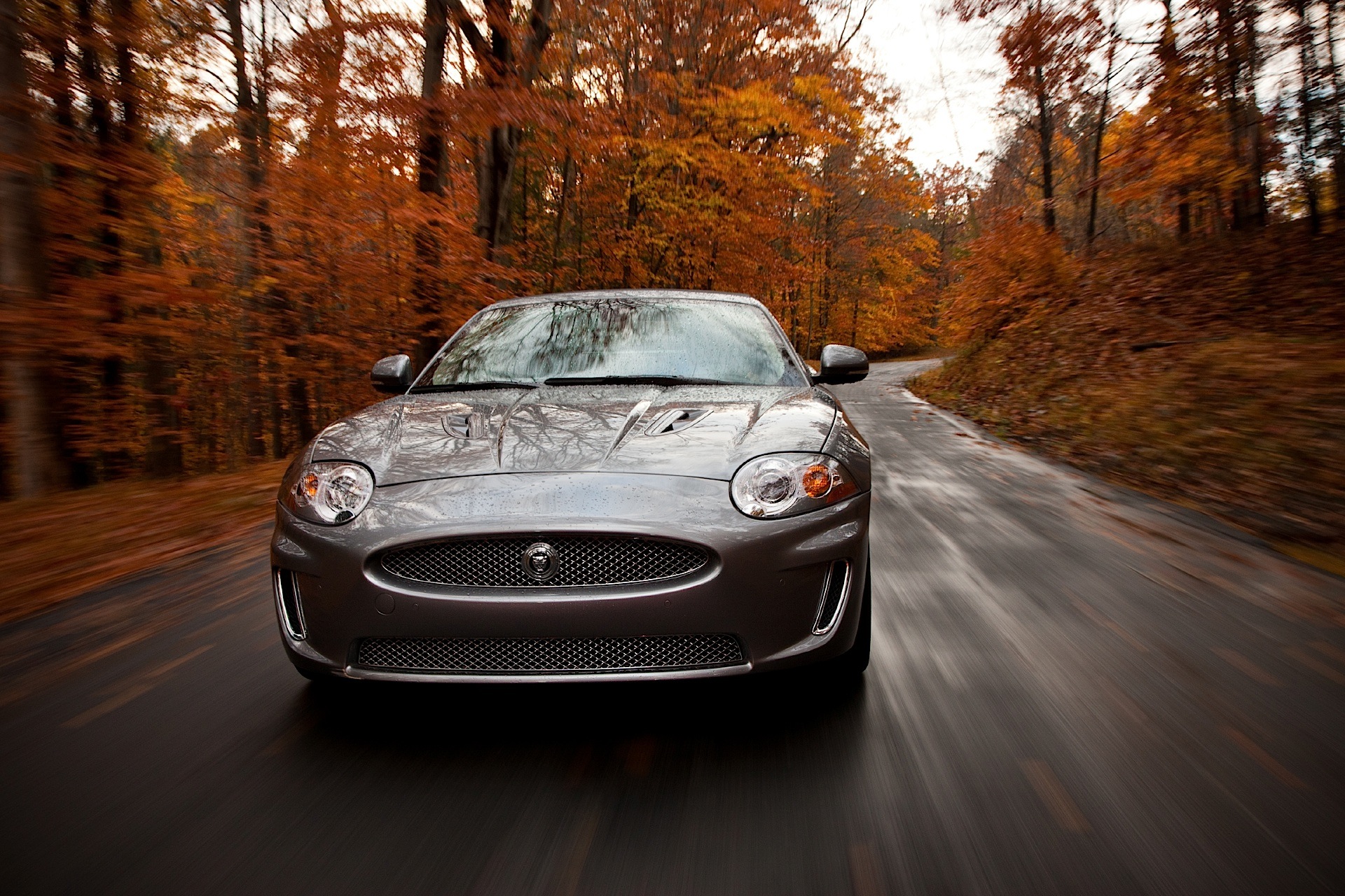 Jaguar Xkr Convertible photo 11