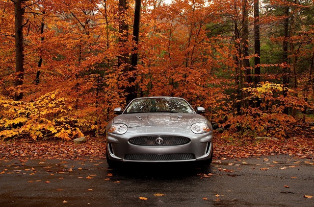 Jaguar Xkr Convertible photo 15
