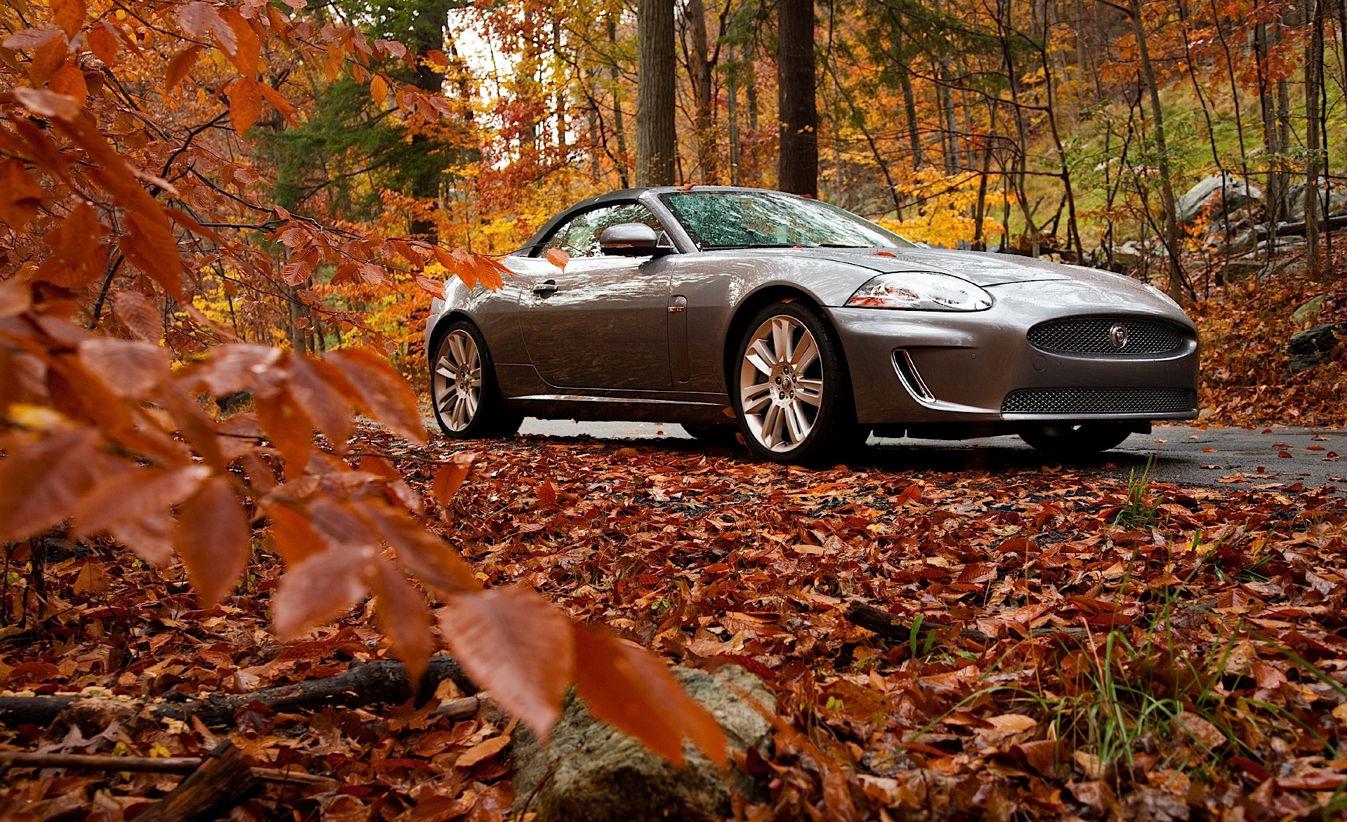 Jaguar Xkr Convertible photo 3