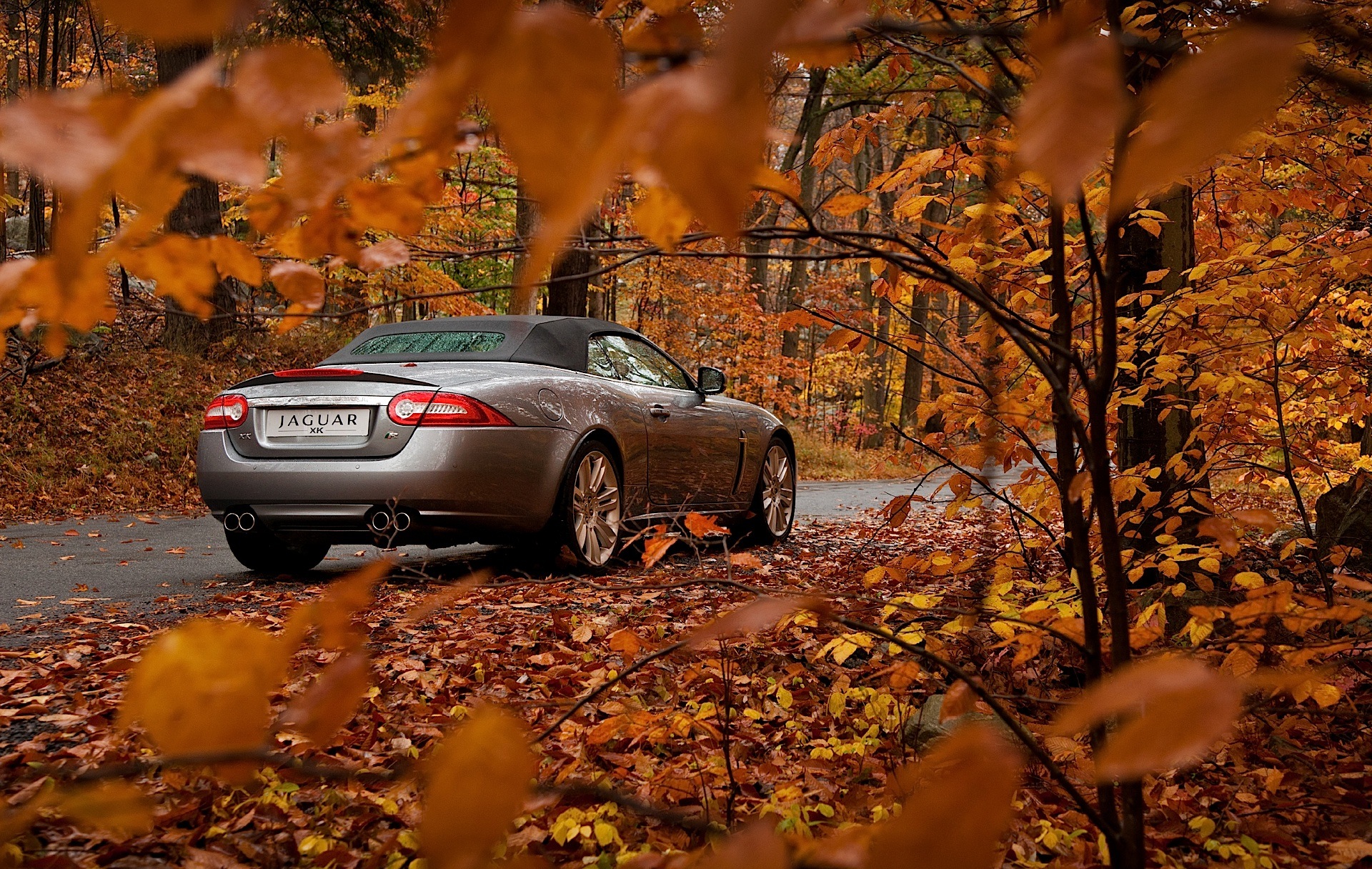 Jaguar Xkr Convertible photo 4