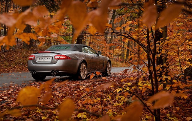 Jaguar Xkr Convertible photo 4