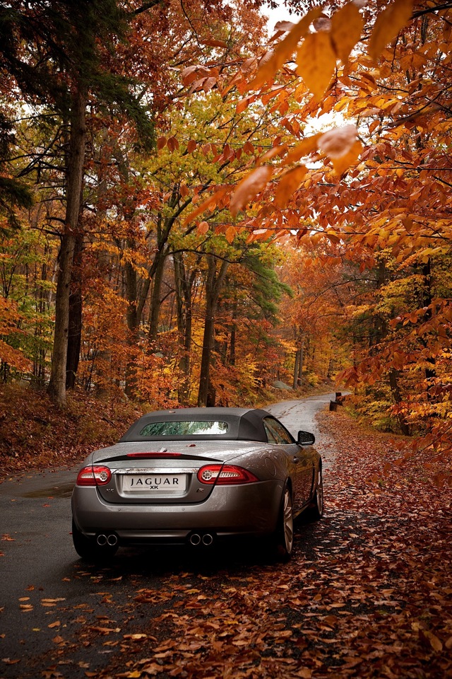 Jaguar Xkr Convertible photo 5