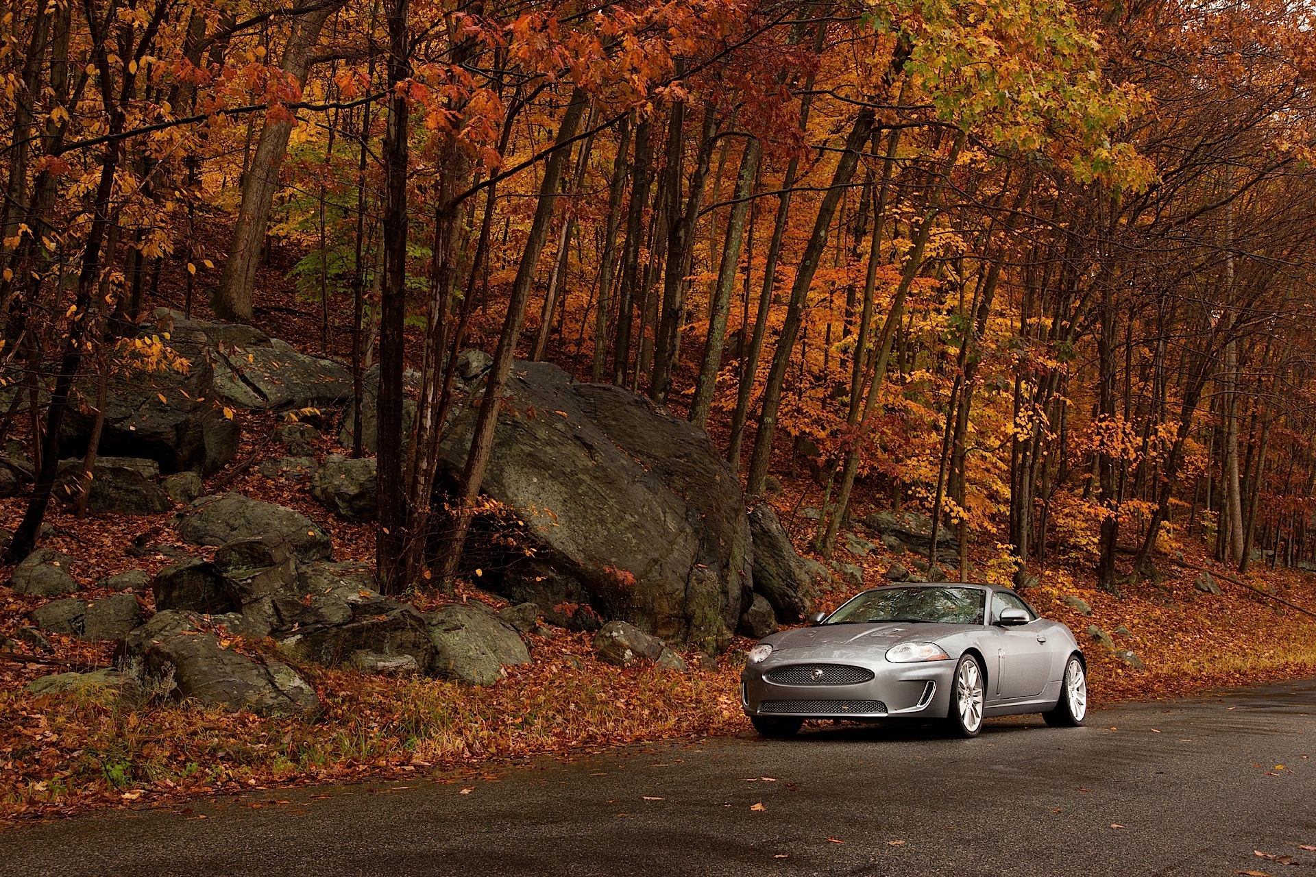 Jaguar Xkr Convertible photo 8