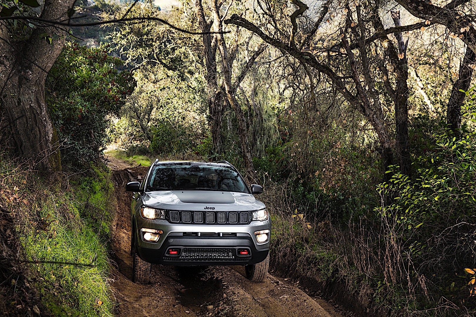 Jeep Compass photo 13
