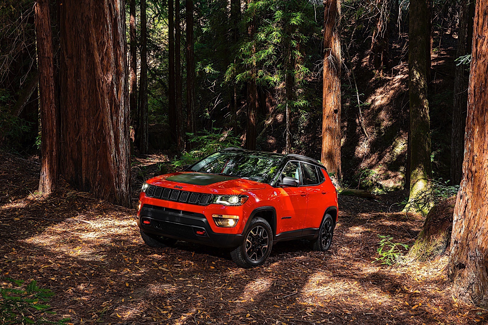 Jeep Compass photo 14