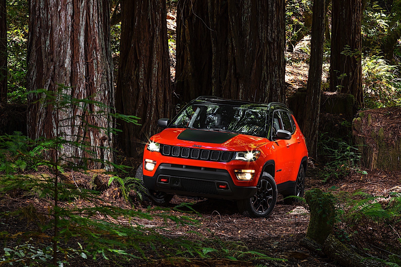 Jeep Compass photo 30