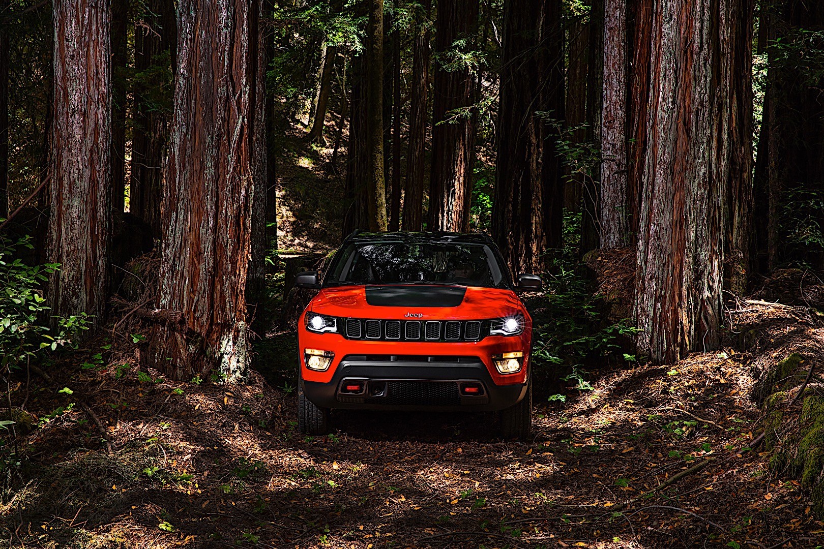 Jeep Compass photo 32