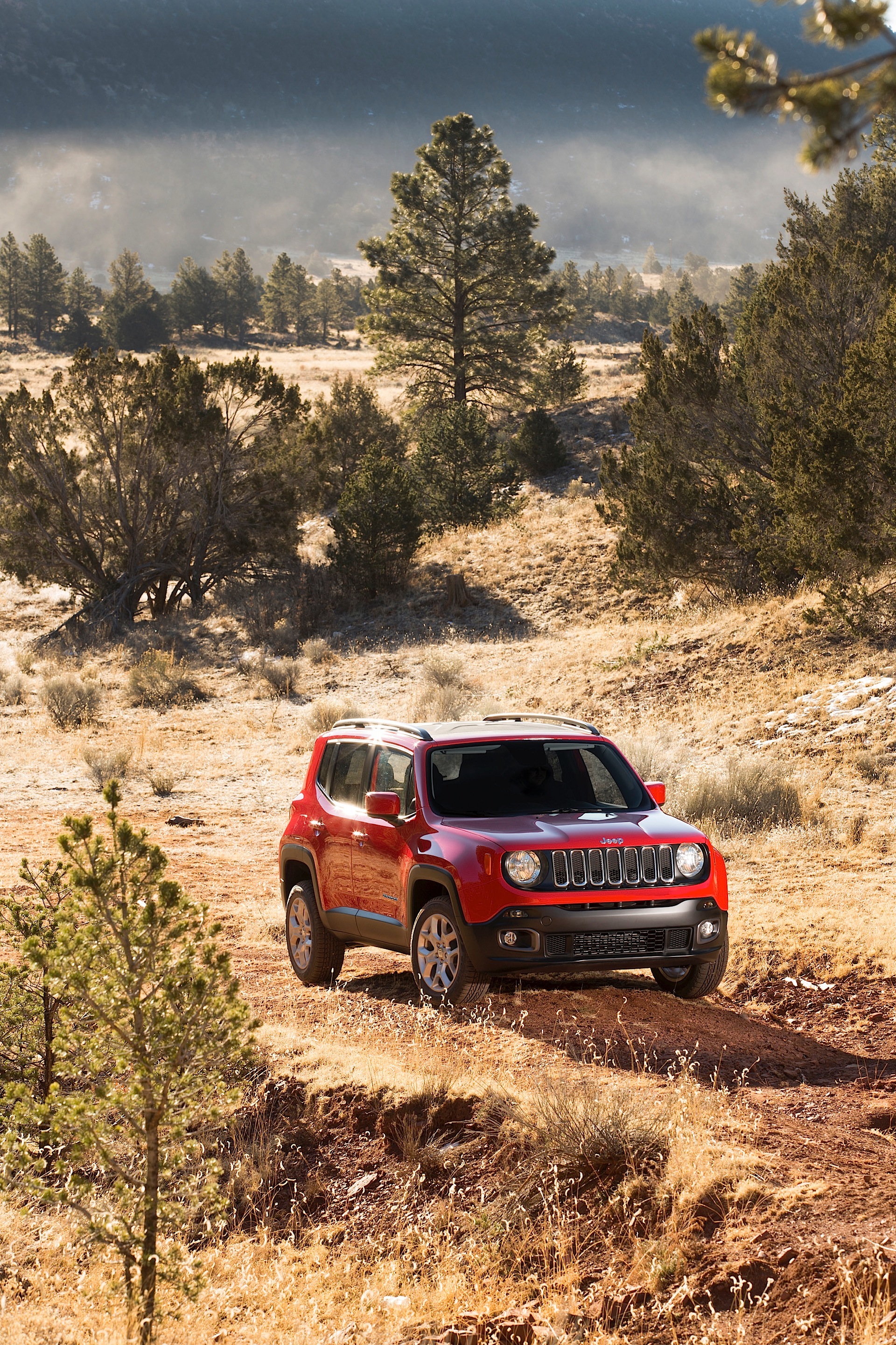 Jeep Renegade photo 39