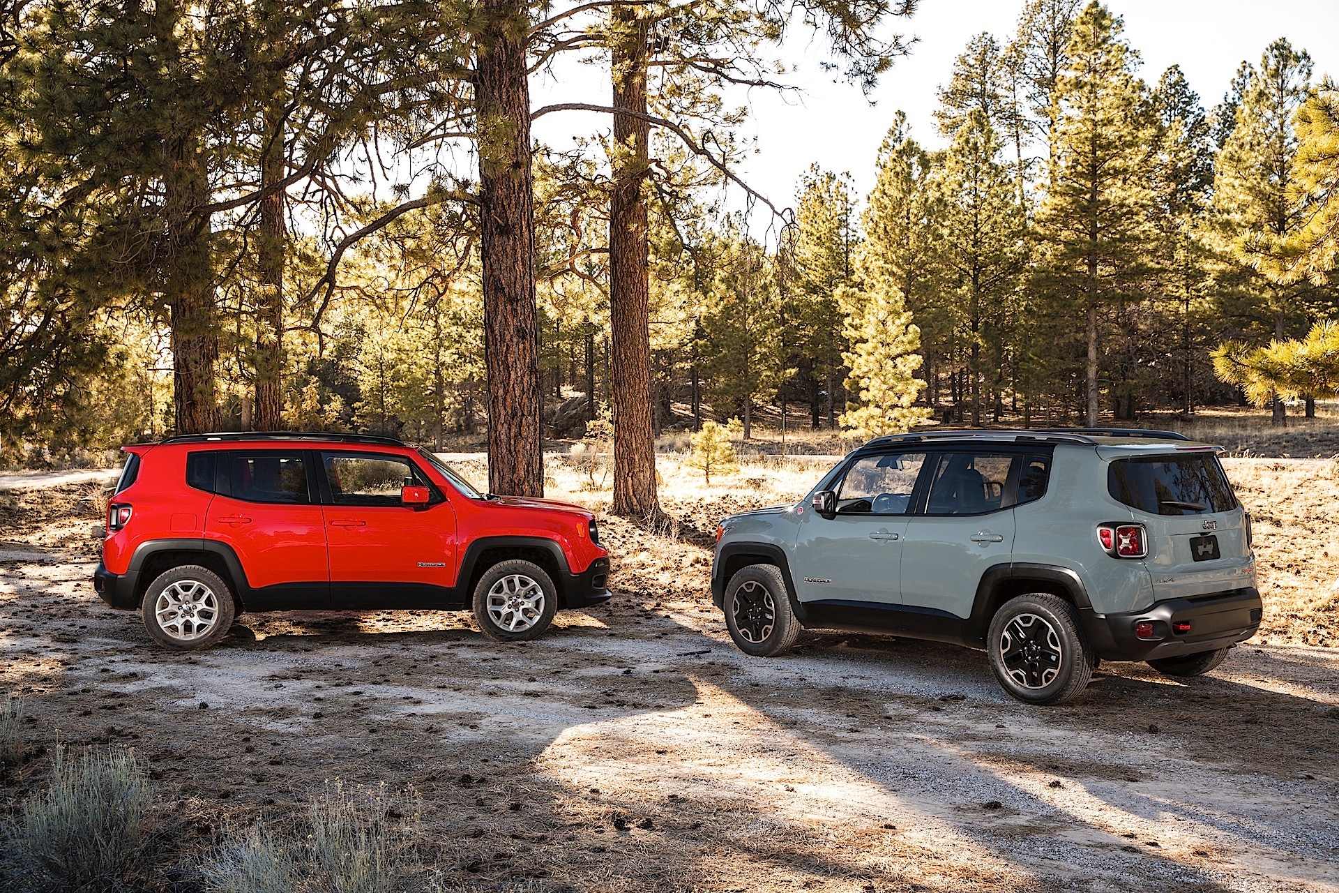 Jeep Renegade photo 69