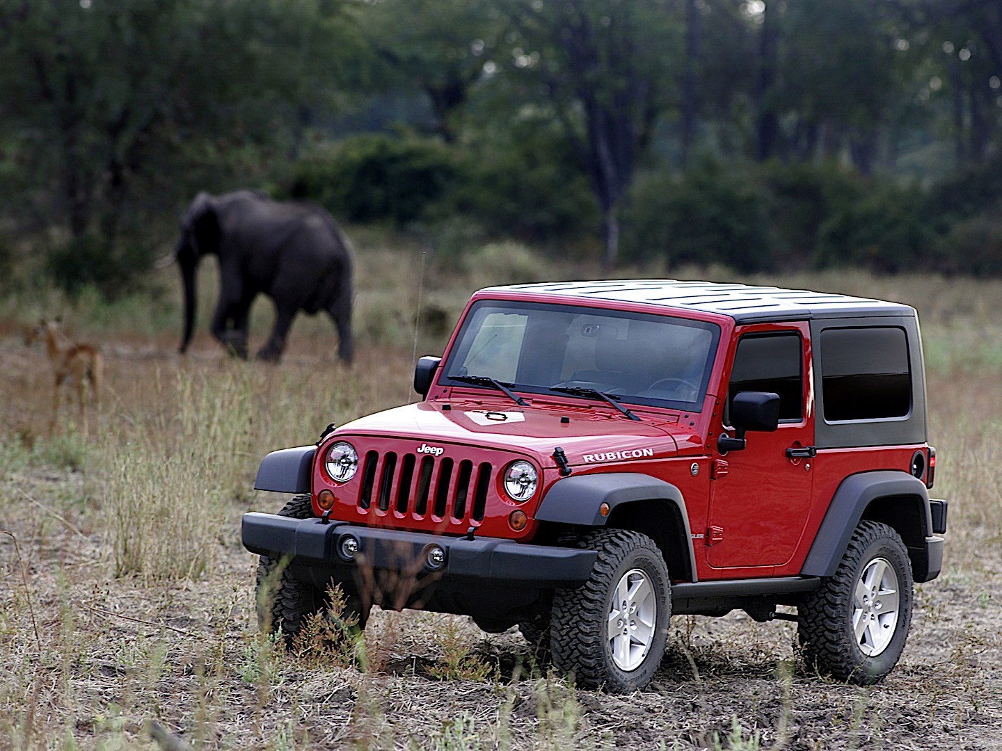 Jeep Wrangler photo 17